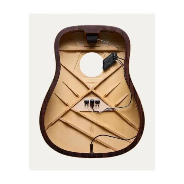 L.R. Baggs HiFi Duet